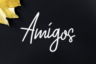Amigos Font Review: A Modern Script for Campaigns