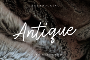 Antique Font: Modern Handwritten Typography for Web Design