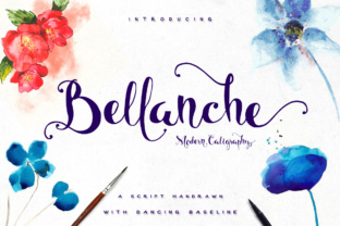 Bellanche Font: Elevating Campaign Visuals with Elegant Script