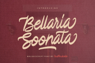 Bellaria Soonata Font: Warm Branding for Small Business
