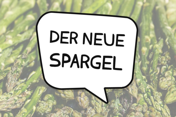 Der Neue Spargel Font: Playful Typography for Web Design