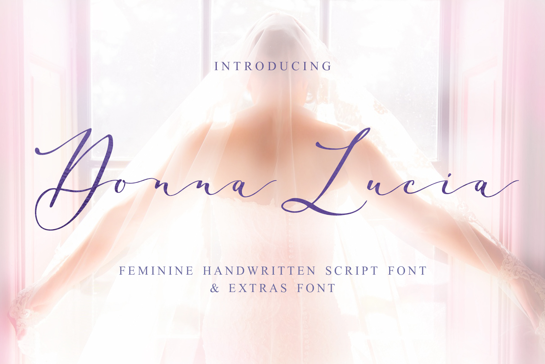 Donna Lucia Font: Elevating Campaign Visuals