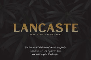 Lancaste Family Font: A Web Designer’s Layout Review