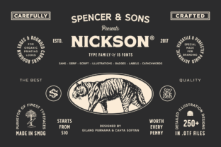 Nickson Font Review: A Display Typeface for Campaigns