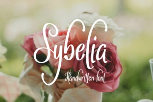 Sybelia Font: A Web Designer’s Review for Digital Brands