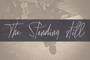 The Standing Still: A Handwritten Script Font for Editorial Elegance