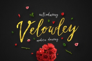Velowley Font: A Modern Script for Digital Campaigns