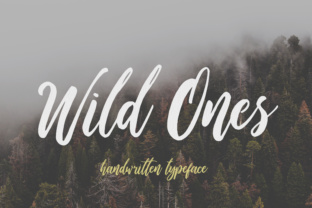 Wild Ones Font: Elevating Modern Web Design with Playful Elegance